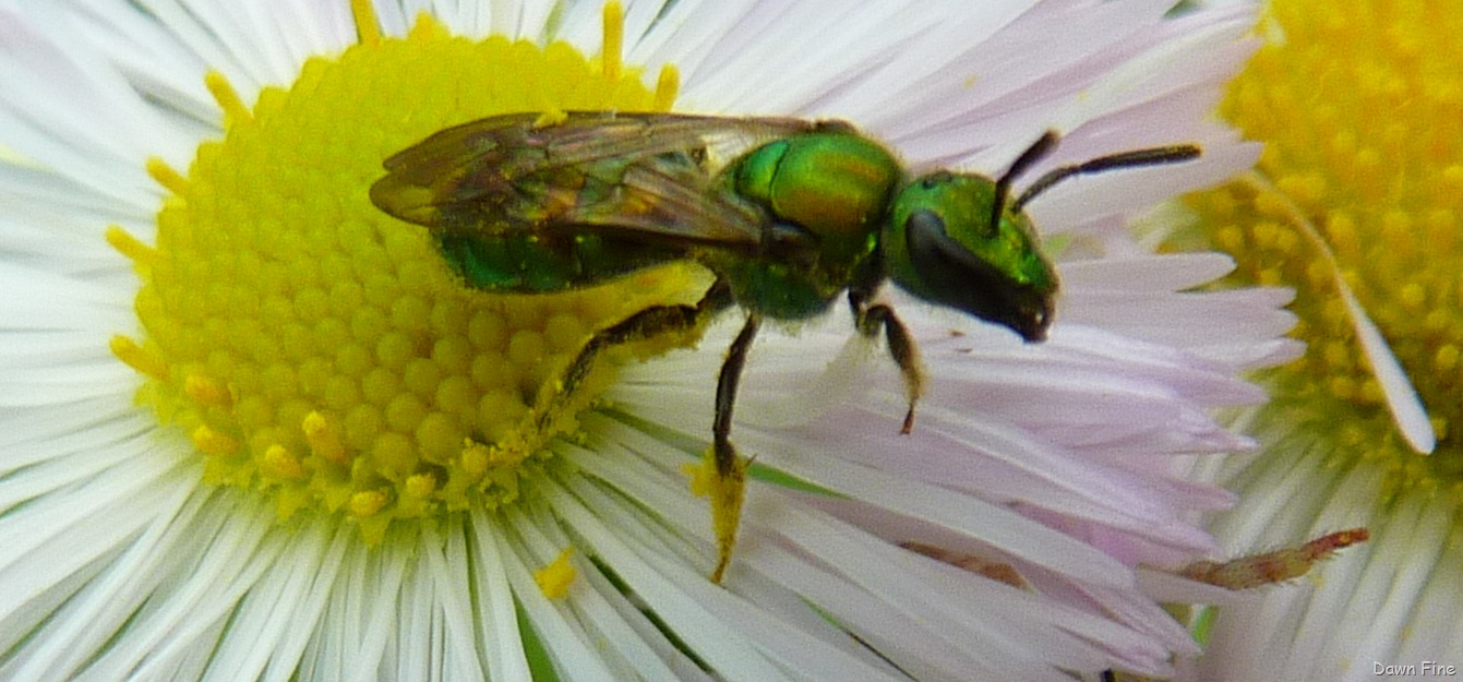 [new-river-day-1_0938.jpg]