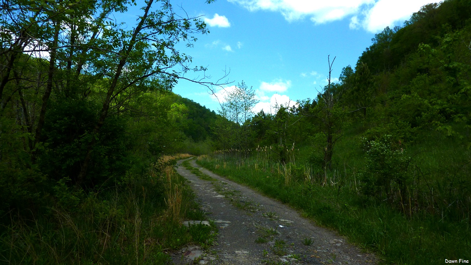 [New-River-Day-4_0255.jpg]