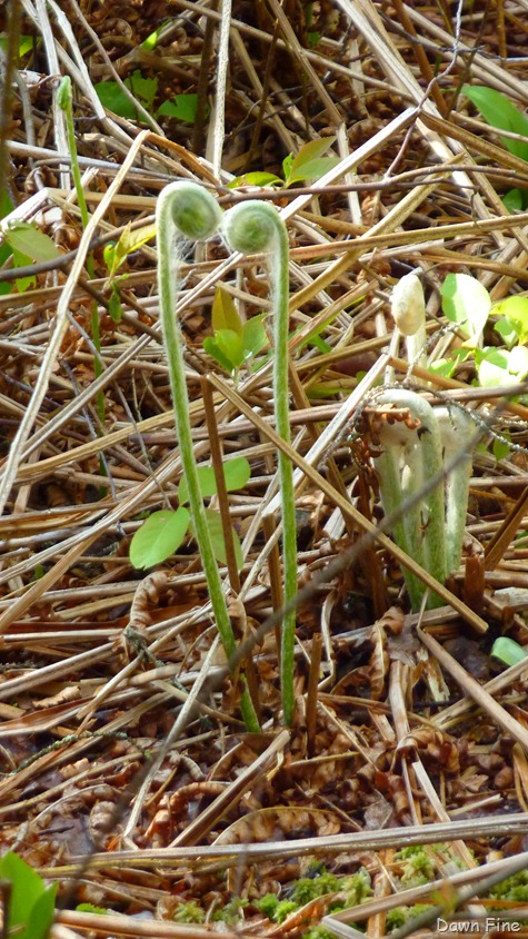 [NEW-river-day-6_0193.jpg]