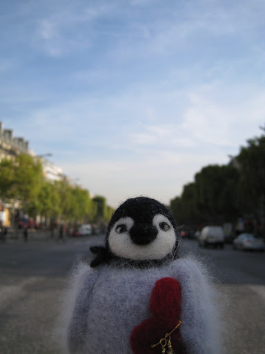 Percy risks it all to stand in the middle of the Champs Elysees and get the shot...what a daredevil penguin!