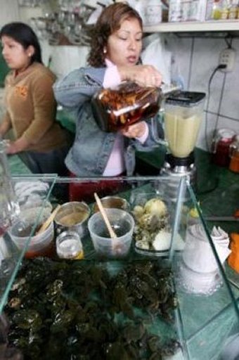 Anda Impoten atau Ejakulasi Dini? Minum JUS KODOK | Foto & Video Anda Impoten atau Ejakulasi Dini? Minum JUS KODOK | Foto & Video