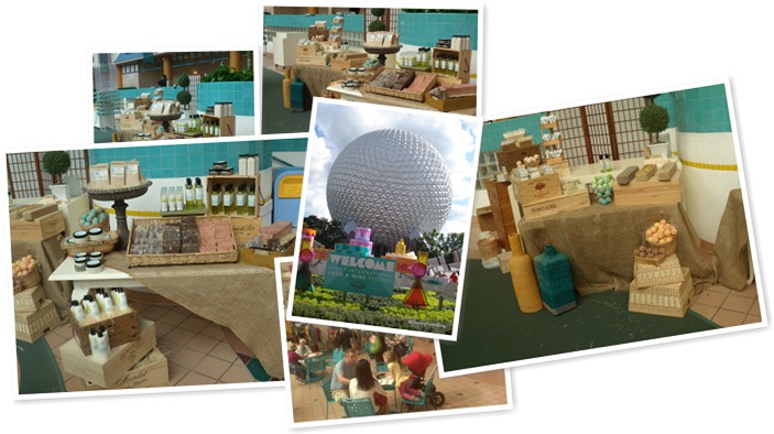 View Disney's Food & Fine Epcot Welcome Center Display
