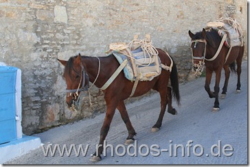 symi_g symi_g