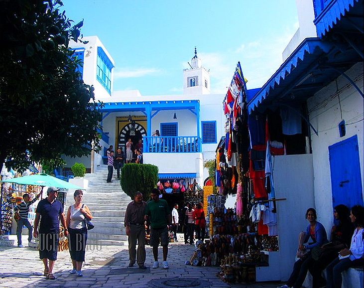 TUNISIA 2009 153 TUNISIA 2009 153