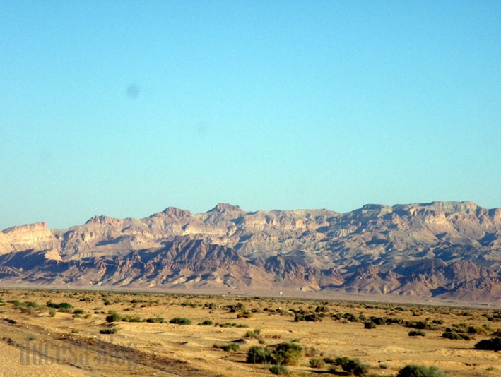 PA055410 PA055410