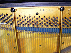 bechstein model IV upright 1899