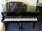 Waldstein Grand
