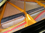 Waldstein Grand