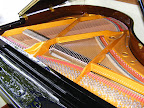 Waldstein Grand
