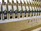 Richard Lipp upright