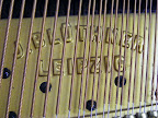 Bluthner 6' 3" Grand piano