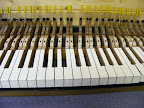 Bluthner 6' 3" Grand piano