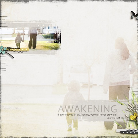 [awakening_web[2].jpg]