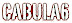 c6logoweb2008.jpg
