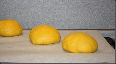 IMG_0012 (4) IMG_0012 (4)