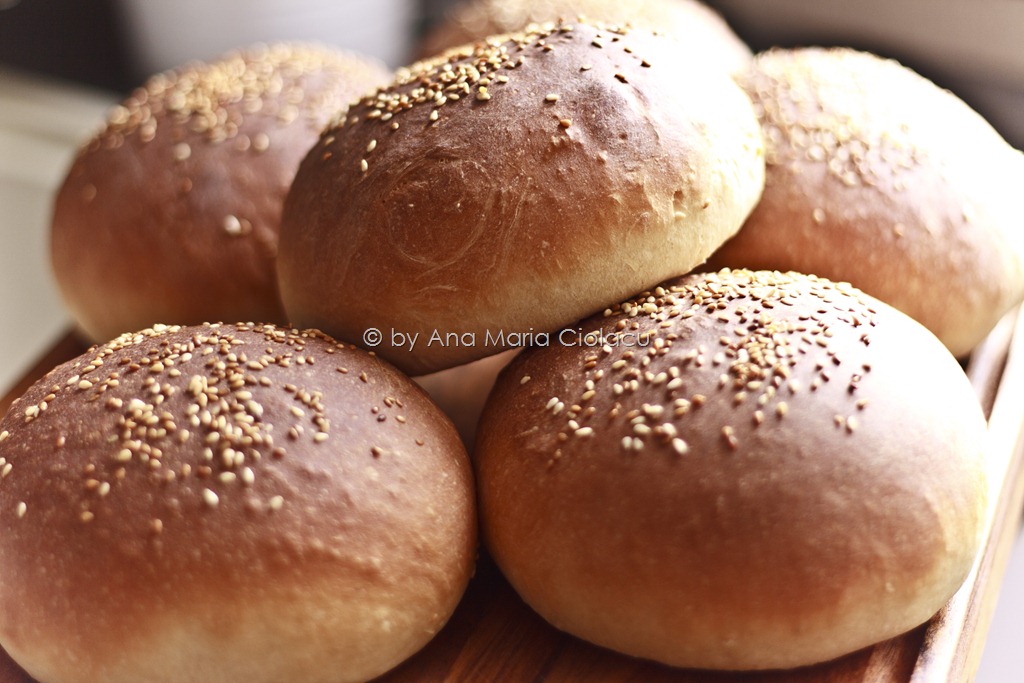 [1Chifle de hamburger[20].jpg]