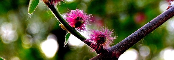 IMG_1083.JPG