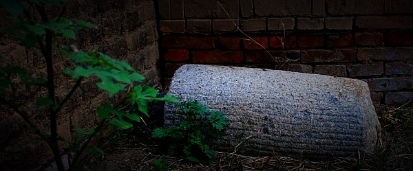 IMG_1081.JPG