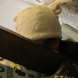 IMG_2801.jpg