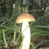IMAG0117.jpg