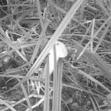 IMAG0121.jpg
