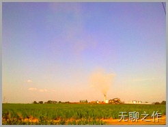 perlis0036 perlis0036