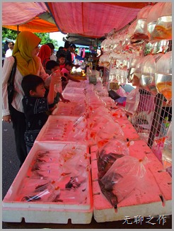 DSCF4725 DSCF4725