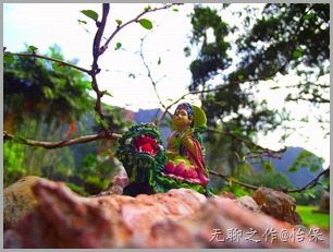 DSCF4964 DSCF4964