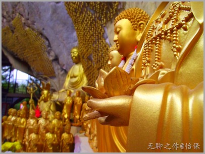 DSCF5730 DSCF5730