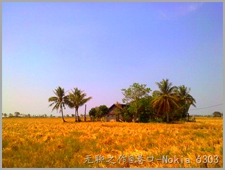 图像0379 图像0379