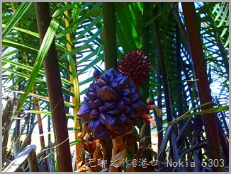 图像0391 图像0391