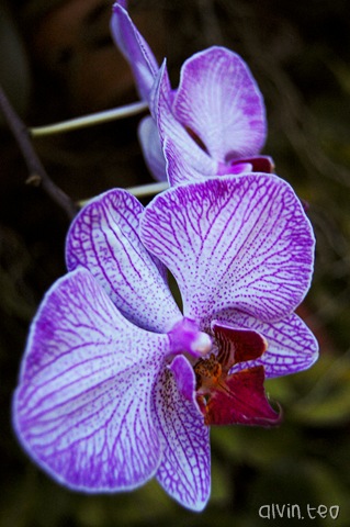 [DSC_0049[10].jpg]