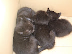 DSCF0809.JPG
