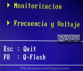 [Flash_BIOS_3[3].jpg]