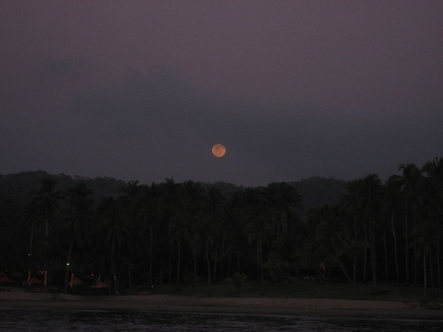 [IMG_02273.jpg]