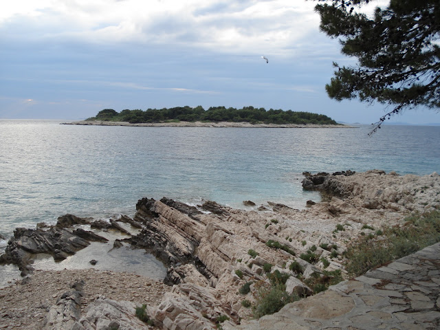 DSC08511.JPG