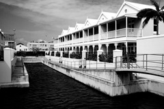 [IMG_9899[8].jpg]