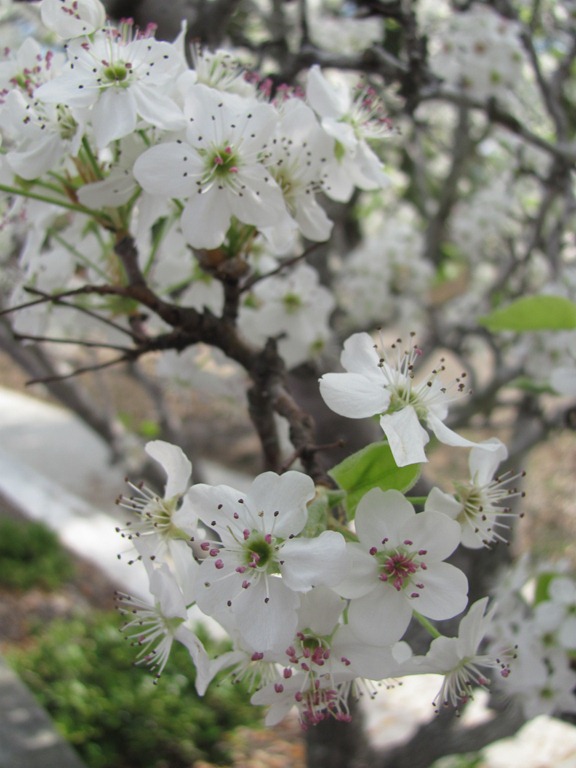 [IMG_17793.jpg]
