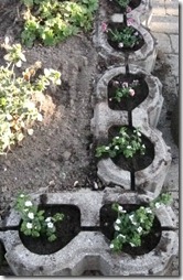 IMG_1478 IMG_1478