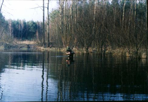 Swamp