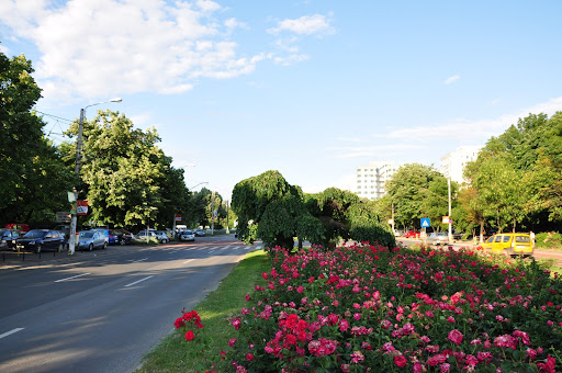 Drumul Taberei