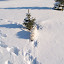Misc Winter Pics. 2/10 Misc Winter Pics. 2/10