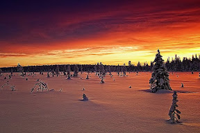 M&aring;nedens bilde, Desember 2010. 

Original photo by Antti-Jussi Liikala, titled "Reflectiveness". 

Link to original photo: http://www.flickr.com/photos/rotametri/3399608533/