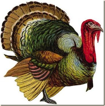 vintage_turkey vintage_turkey