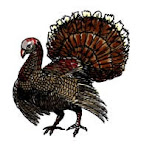 Thanksgiving in Cuba