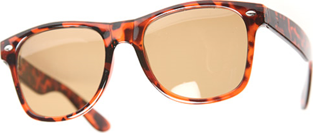 WAYFARER CAREY