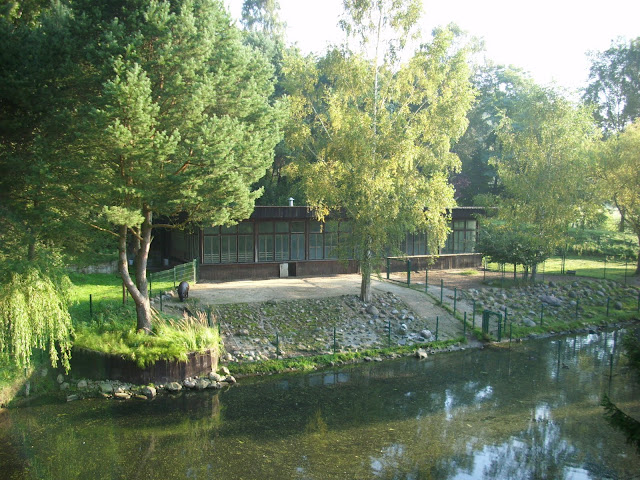 Wybieg hipoptama karłowatego - Zoo Oliwa