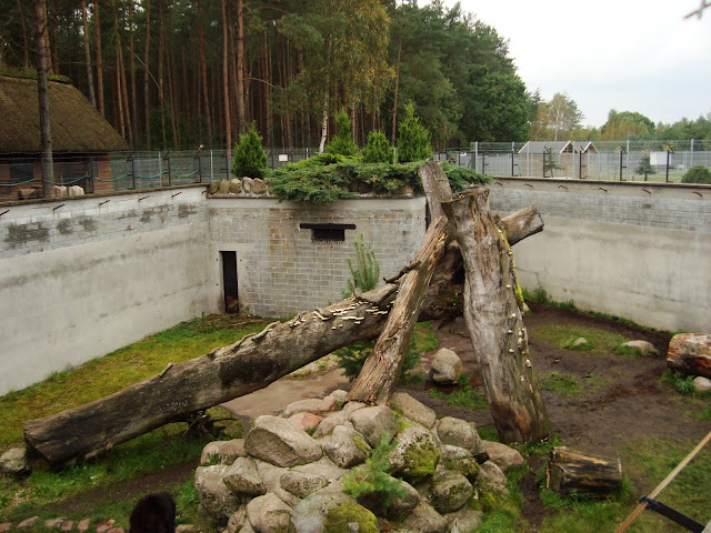 Wybieg niedźwiedzia himalajskiego - Zoo Człuchów (widok od południa)