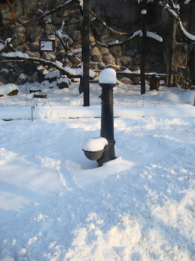 Pompa śnieżna