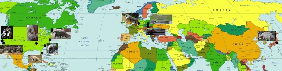 Mapa rozmieszczenia mrówkojadzich rzeźb Mapa rozmieszczenia mrówkojadzich rzeźb